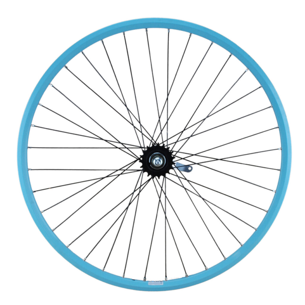 28inch Achterwiel 28inch terugtraprem Turquoise RVS zwarte spaken
