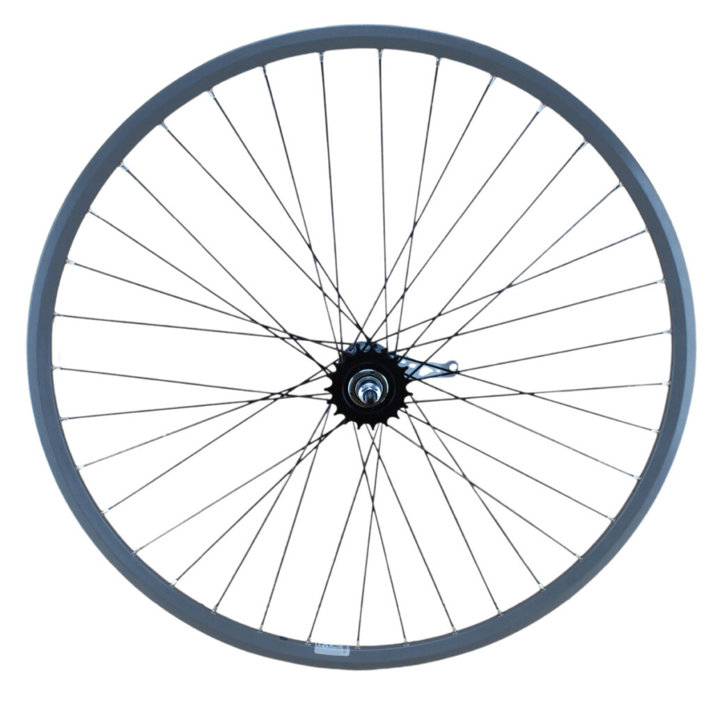 Achterwiel met terugtraprem 28inch grijs RVS zwarte spaken